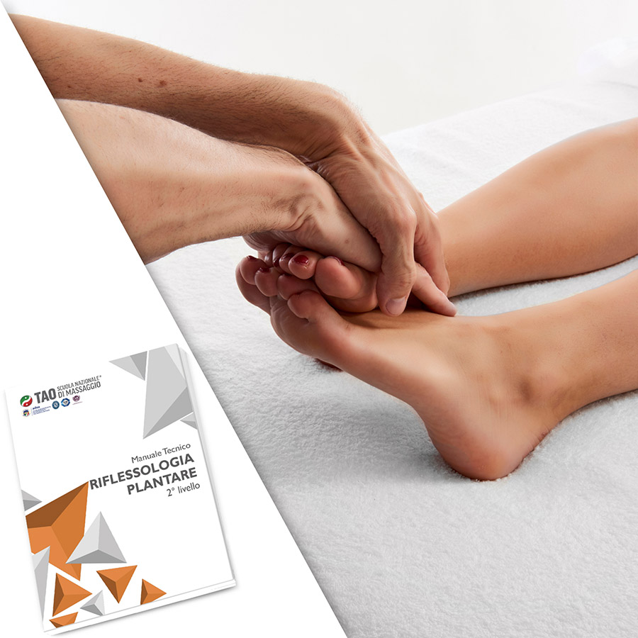 Riflessologia Plantare - corso in aula 14/28 ore formative - immagine 2